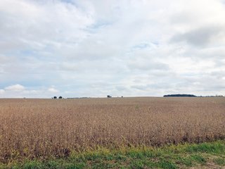 Property photo 1 - FARMLAND AUCTION - 76.15+/- ACRES IN 2 TRACTS IN RANDOLPH COUNTY, INDIANA